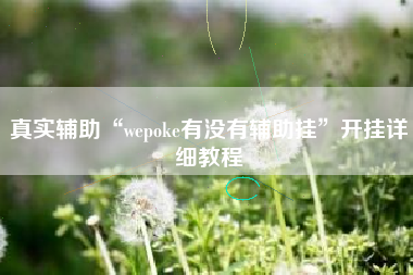 真实辅助“wepoke有没有辅助挂”开挂详细教程
