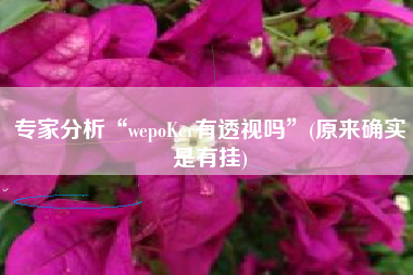 专家分析“wepoKer有透视吗”(原来确实是有挂)
