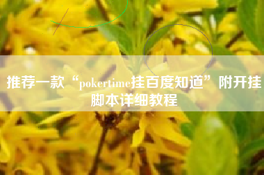 推荐一款“pokertime挂百度知道	”附开挂脚本详细教程