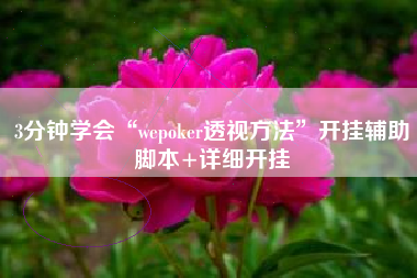 3分钟学会“wepoker透视方法”开挂辅助脚本+详细开挂