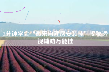 3分钟学会“微乐自建房安装挂	”揭秘透视辅助万能挂