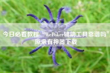今日必看教程“WePoker辅助工具靠谱吗	”原来有神器下载