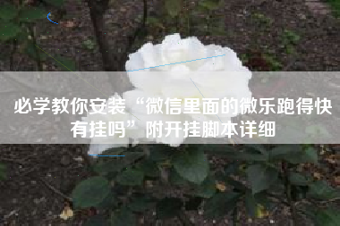 必学教你安装“微信里面的微乐跑得快有挂吗	”附开挂脚本详细