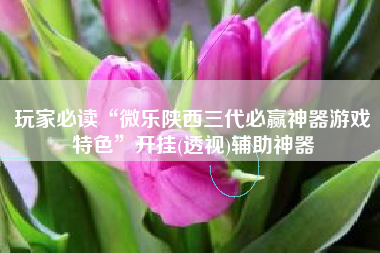 玩家必读“微乐陕西三代必赢神器游戏特色	”开挂(透视)辅助神器