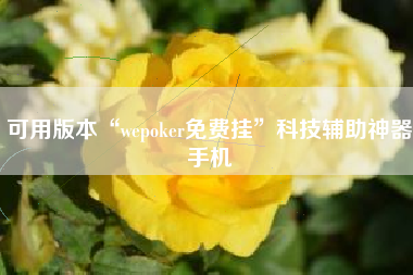 可用版本“wepoker免费挂”科技辅助神器手机