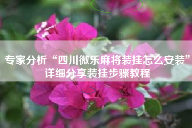 专家分析“四川微乐麻将装挂怎么安装	”详细分享装挂步骤教程