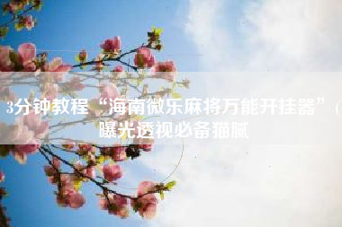 3分钟教程“海南微乐麻将万能开挂器”(曝光透视必备猫腻