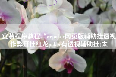 安装程序教程“wepoker网页版辅助挂透视作弊开挂红龙poker有透视辅助挂(太