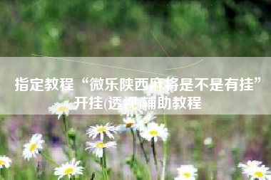 指定教程“微乐陕西麻将是不是有挂”开挂(透视)辅助教程
