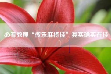 必看教程“微乐麻将挂	”其实确实有挂