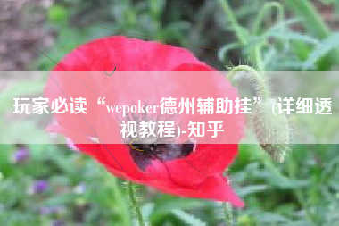 玩家必读“wepoker德州辅助挂”(详细透视教程)-知乎