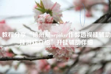 教程分享“德州局wepoker作弊透视挂辅助挂游戏介绍”开挂辅助详细