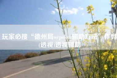 玩家必搜“德州局wepoker辅助方法”作弊(透视)透视辅助