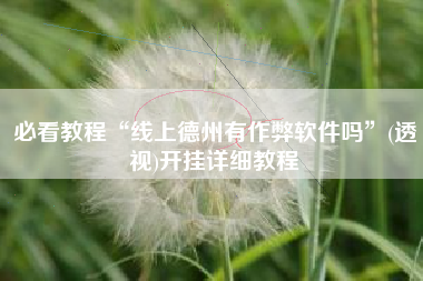 必看教程“线上德州有作弊软件吗”(透视)开挂详细教程