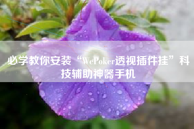 必学教你安装“WePoker透视插件挂”科技辅助神器手机