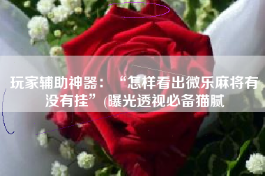 玩家辅助神器：“怎样看出微乐麻将有没有挂	”(曝光透视必备猫腻