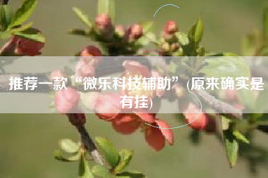 推荐一款“微乐科技辅助”(原来确实是有挂)