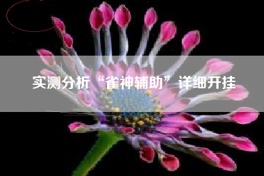 实测分析“雀神辅助”详细开挂