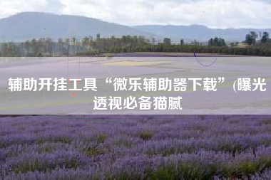 辅助开挂工具“微乐辅助器下载”(曝光透视必备猫腻