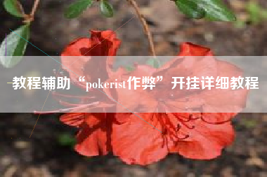 教程辅助“pokerist作弊	”开挂详细教程