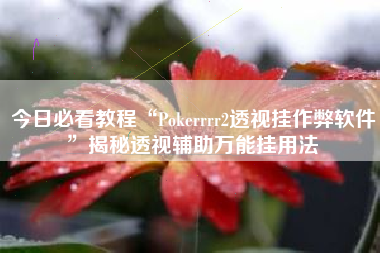 今日必看教程“Pokerrrr2透视挂作弊软件”揭秘透视辅助万能挂用法