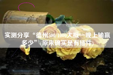 实测分享“德州500/1000大概一晚上输赢多少”(原来确实是有插件)