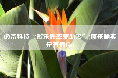 必备科技“微乐胜率辅助器”(原来确实是有插件)