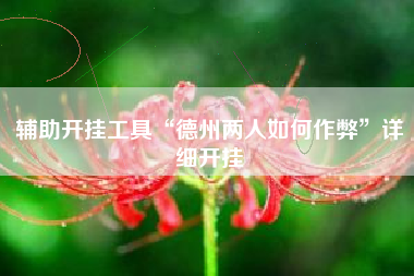 辅助开挂工具“德州两人如何作弊”详细开挂