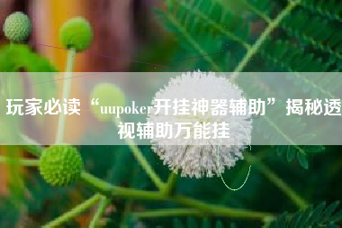 玩家必读“uupoker开挂神器辅助	”揭秘透视辅助万能挂