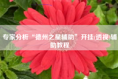专家分析“德州之星辅助	”开挂(透视)辅助教程