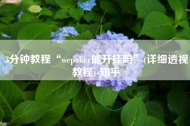 3分钟教程“wepoker能开挂吗”(详细透视教程)-知乎