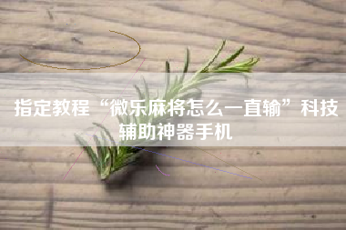 指定教程“微乐麻将怎么一直输”科技辅助神器手机