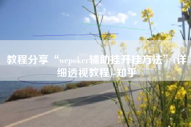 教程分享“wepoker辅助挂开挂方法”(详细透视教程)-知乎