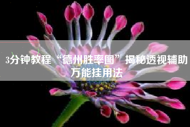 3分钟教程“德州胜率图”揭秘透视辅助万能挂用法