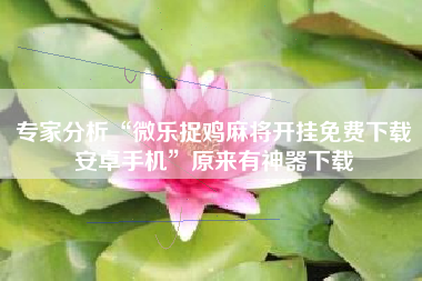 专家分析“微乐捉鸡麻将开挂免费下载安卓手机”原来有神器下载