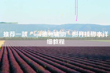 推荐一款“wpk德州辅助”附开挂脚本详细教程