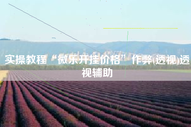 实操教程“微乐开挂价格	”作弊(透视)透视辅助