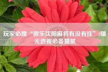 玩家必搜“微乐沈阳麻将有没有挂	”(曝光透视必备猫腻