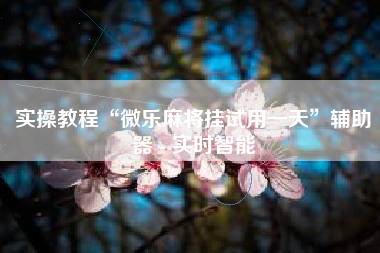 实操教程“微乐麻将挂试用一天”辅助器 - 实时智能