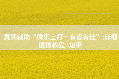 真实辅助“微乐三打一有没有挂	”(详细透视教程)-知乎