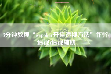 3分钟教程“wepoker开挂透视方法”作弊(透视)透视辅助