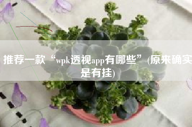 推荐一款“wpk透视app有哪些”(原来确实是有挂)
