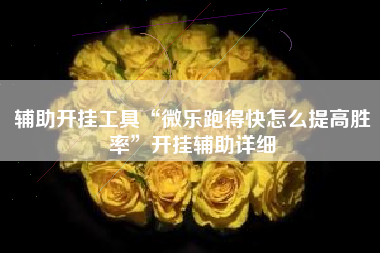 辅助开挂工具“微乐跑得快怎么提高胜率	”开挂辅助详细