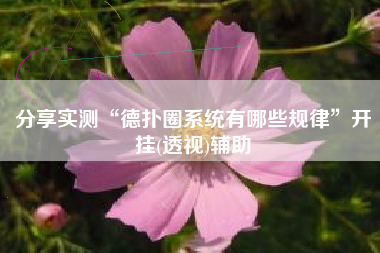 分享实测“德扑圈系统有哪些规律”开挂(透视)辅助