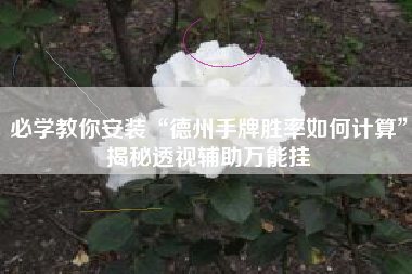 必学教你安装“德州手牌胜率如何计算”揭秘透视辅助万能挂