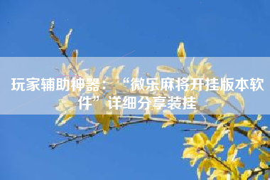 玩家辅助神器：“微乐麻将开挂版本软件”详细分享装挂