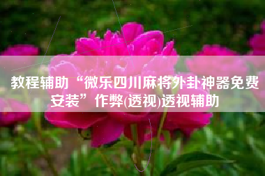 教程辅助“微乐四川麻将外卦神器免费安装”作弊(透视)透视辅助