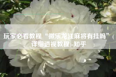 玩家必看教程“微乐龙江麻将有挂吗	”(详细透视教程)-知乎