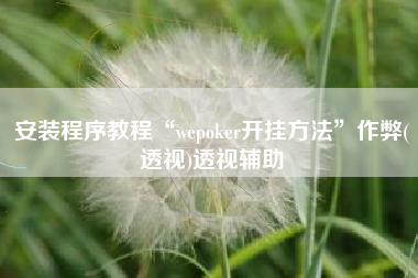 安装程序教程“wepoker开挂方法”作弊(透视)透视辅助