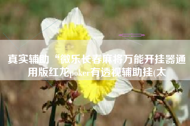 真实辅助“微乐长春麻将万能开挂器通用版红龙poker有透视辅助挂(太